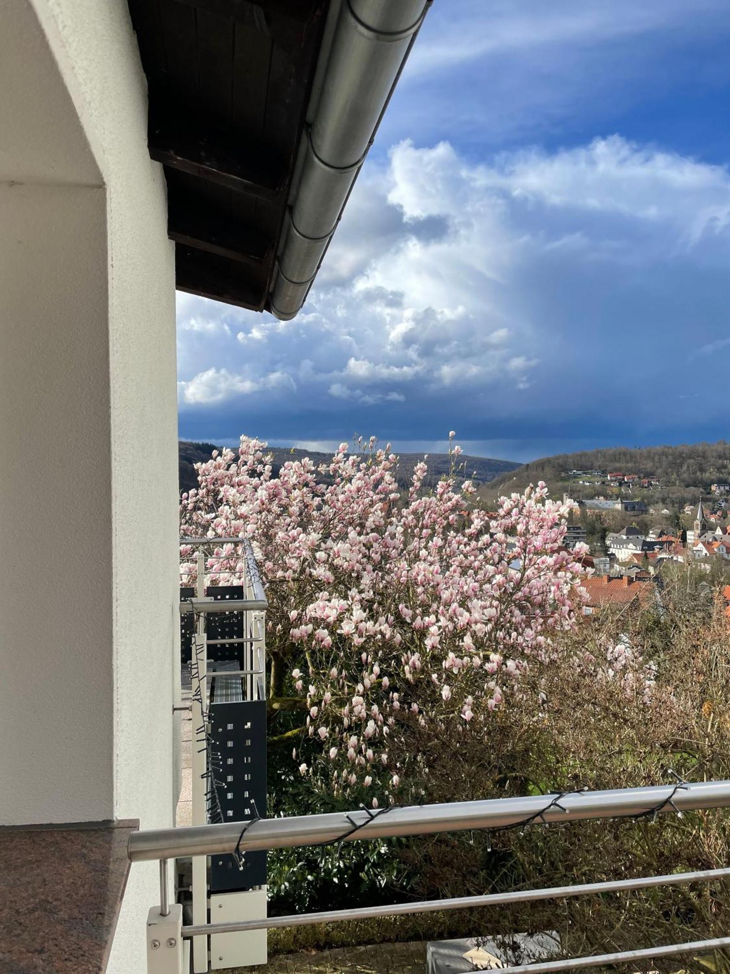 Ferienhaus Chalet Andante Hannoversch Münden Zewnętrze zdjęcie